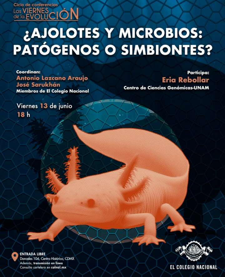 “El universo dinámico que vivimos hoy fue  configurado por la Teoría de la Evolución”