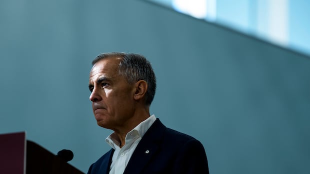 Carney says renegotiating CUSMA likely won't resolve all trade issues with U.S.