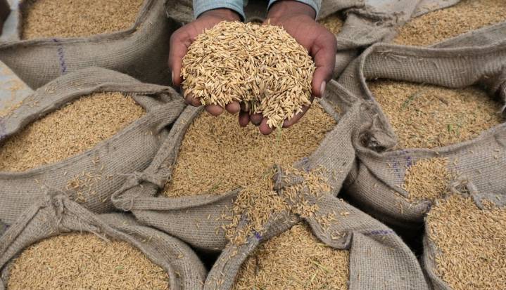 Las exportaciones rusas de cereales por vía marítima crecieron 26,6% en noviembre