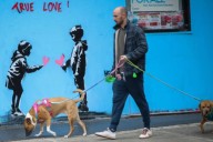 The top 10 cities for dog owners — with plenty of pup