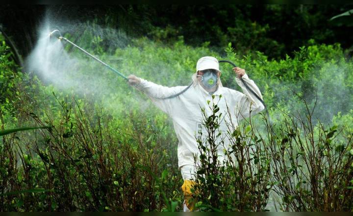 Se cae estudio que respaldaba herbicida cancerígeno: Perú usa pesticidas tóxicos