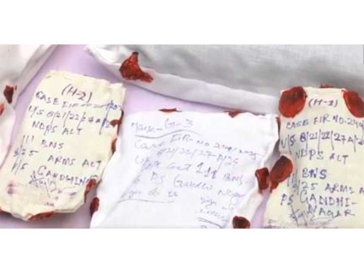 Police bust narco-terror module in Jammu