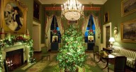 2025 White House Christmas decorations revealed