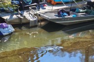 Dozens of oil-covered animals recovered from Smitty’s Supply disaster