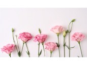 Hints from Heloise: Repurposing cut flowers, keeping snakes at bay and more ...