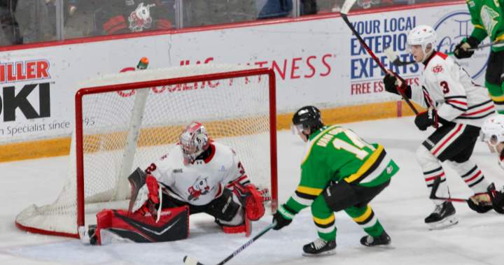 Four-point night for Londoner Ryan Roobroeck lifts IceDogs past Knights