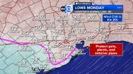 Houston Weather: After warm, foggy start to weekend, light freeze now predicted for Houston Sunday night