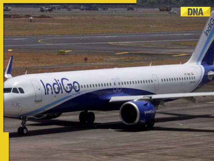 DNA TV SHOW: Will IndiGo's sins be washed away with a 'sorry'? Decoding IndiGo's