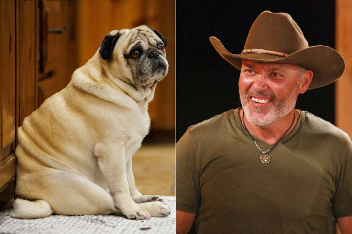 Steve McBee Sr. Shared Plans For Dog Gunner Ahead of Prison Sentence