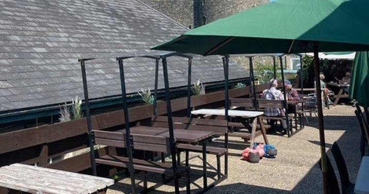 Café owner's brutal response to customer who complained dog wasn't allowed on the furniture