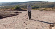 Scientists discover 'dinosaur freeway' in huge world