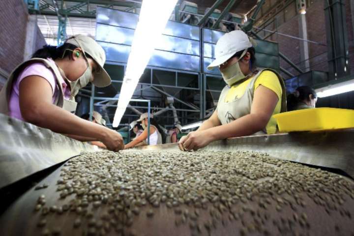 Midagri: ventas por agroexportaciones superaron los US$ 11,500 millones a octubre