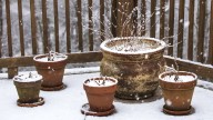 8 Types Of Planters That Can Survive Outdoors In The Winter