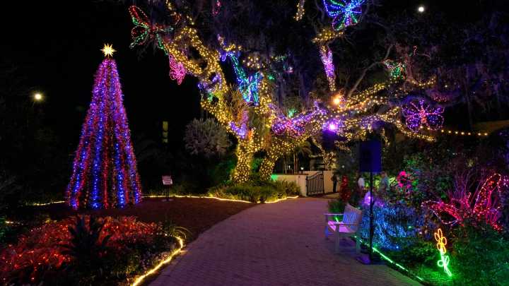 See photos of Selby Gardens’ spectacular holiday lights in Sarasota