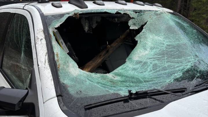 Tree strikes windshield, injuring driver in Chelan County