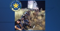 One man arrested after 23 undocumented immigrants were found hidden in a truck in a South Texas county