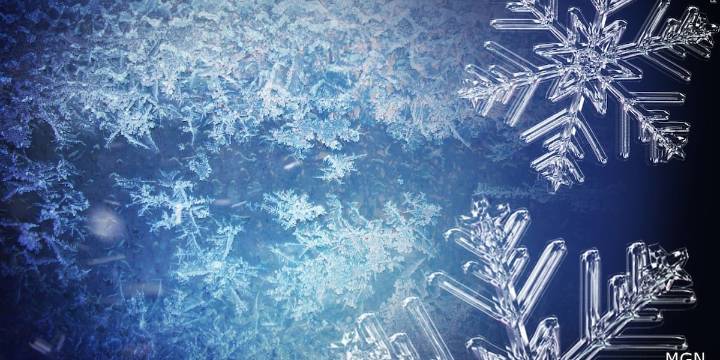 Cold weather poses risks to pets; rescue organization urges safety precautions