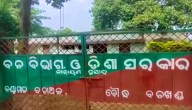 Tiger Sighting Sparks Panic In Boudh’s Kantamala