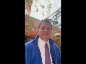 Favorite fall color trees | California Weather