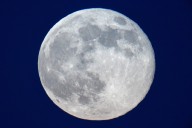 ‘Cold Supermoon’ on the rise: A ‘stunning spectacle’ arrives this week