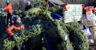 Ellms Farms, FedEx Trees for Troops in 9 photos