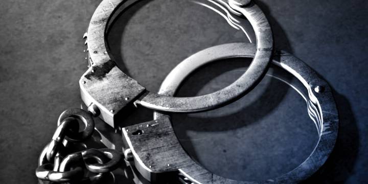 Woman arrested after pitbull found malnourished in filthy cage