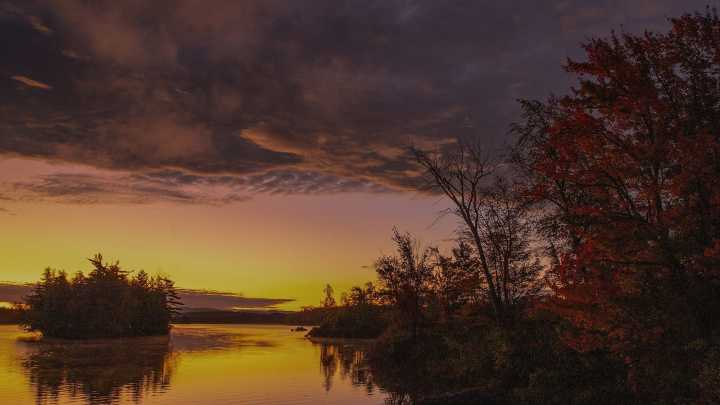 Finger Lakes photographers show off their works of art
