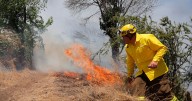 Región Metropolitana en alerta preventiva por alto riesgo de incendios forestales ante ola de calor