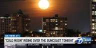 A huge-looking moon is rising over the Suncoast tonight