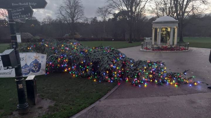 Storm Bram takes down giant Christmas tree in Shrewsbury as strong winds hit Shropshire