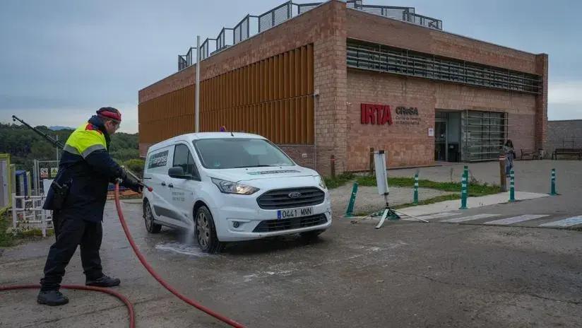 España investiga si la peste porcina salió de un laboratorio mientras aumentan los casos