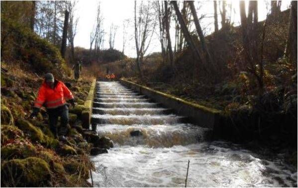 WSDOT is about to open half of the new bridge at Lees Creek