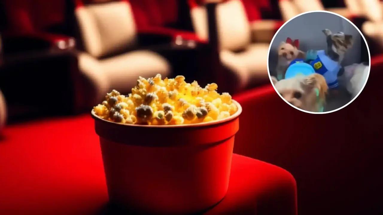 Cines en China permiten la entrada de perros para ver Zootopia 2: video viral