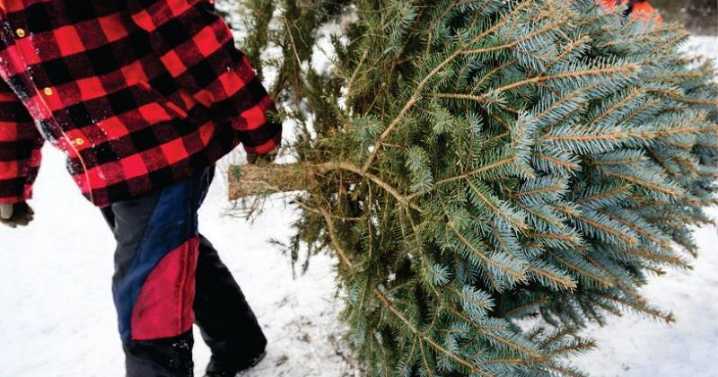 BLM cuts personal-use permit fees to $1