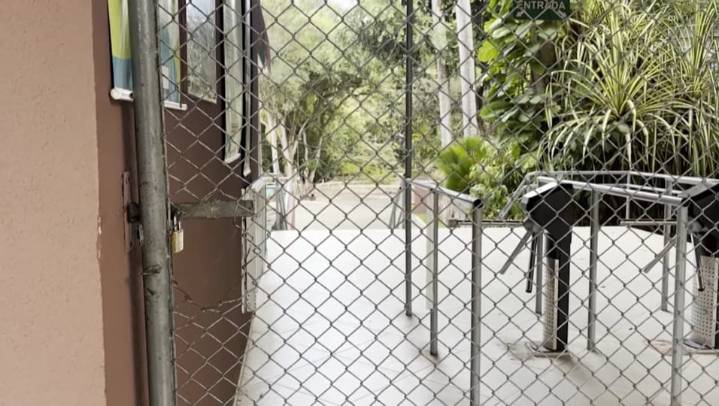 Una leona mata a un joven que ingresó a su recinto en un zoológico