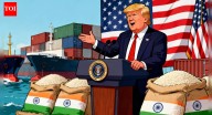 Trump threatens more tariffs on Indian rice! Why India has little to worry