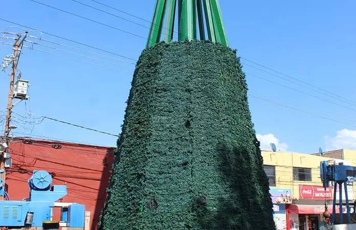 Instalación de árbol monumental provoca debate entre vecinos de Villa de Pozos