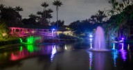 La Magia Natural llega al Jardín Botánico Una Navidad inspiradora con nuevas y mejores experiencias para los visitantes