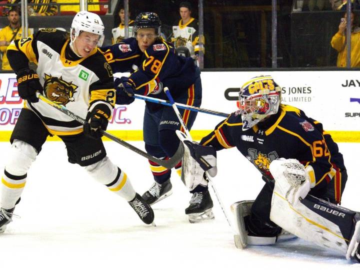 Brantford Bulldogs trade Sam McCue to Ottawa 67's