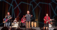 Bill Murray Surprises Fans Fronting His Own Blues
