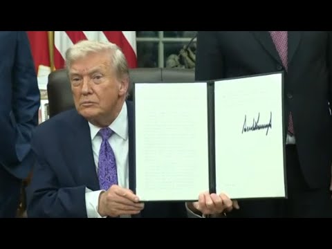 Breaking down what Trump's executive order to block state AI regulations means