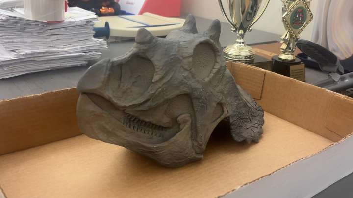 City of Columbus find more ways to bring fossil park in Propst Park