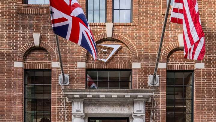 Gymshark to Open First U.S. Flagship on Bond Street in NoHo on Saturday