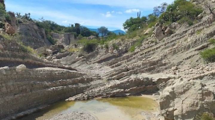 Descubren huellas de dinosaurios que datan de hace 120 millones de años en la región de Tehuacán