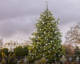 How to watch the National Christmas Tree Lighting Ceremony 2025, tv channel, date, time