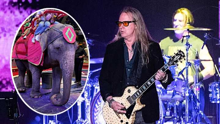 PETA Asks Alice in Chains to Change Band Name to Help Save Circus Elephant