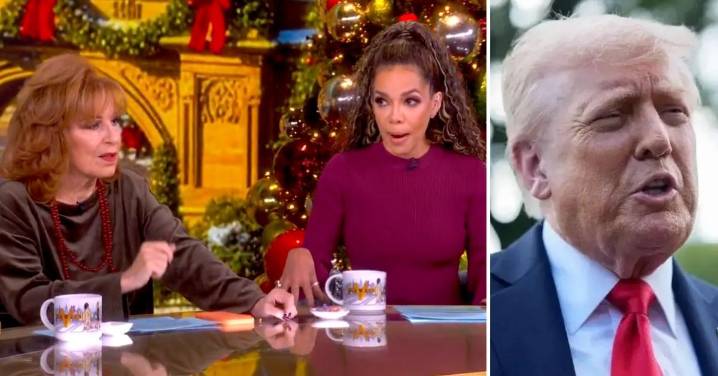 'The View' Stars Blast Donald Trump's 'Racist' Comments About Immigrants From 'S---hole Countries' Wanting to Move to America