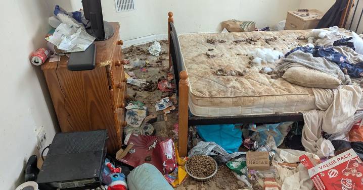 House of horrors of pet owner 'ankle deep in s***' so bad it 'burnt back of inspector's throat'