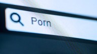 U.S. Government Websites Are Hosting PDFs Promoting Porn and Scams
