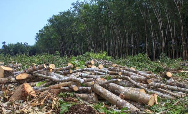 Recursos naturales: Milei cambia las Zonas Frías, reduce la investigación y el control